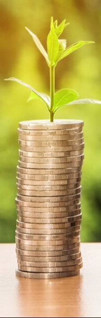 Bright image featuring a stack of coins sprouting a small plant, showing financial growth
